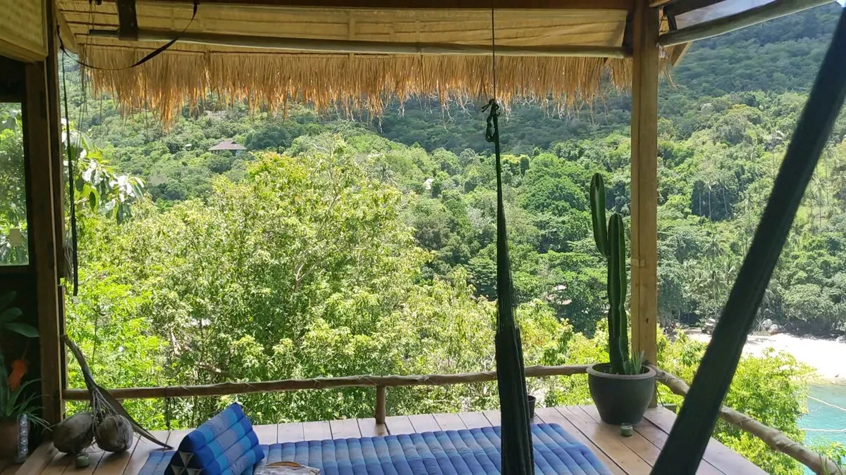 Thatched-roof deck with hammock and jungle-covered hillside views