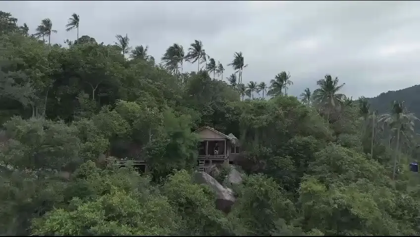 The jungle hillside above Why Nam beach
