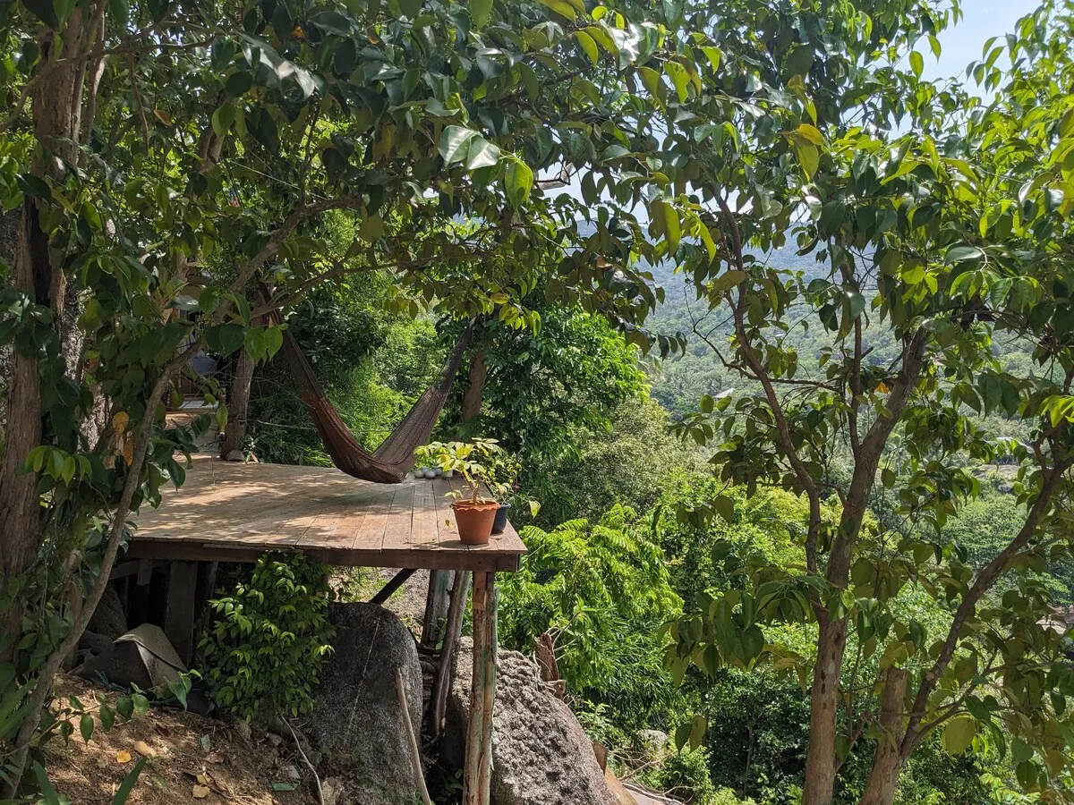 Wooden lookout platform in the trees above the beach