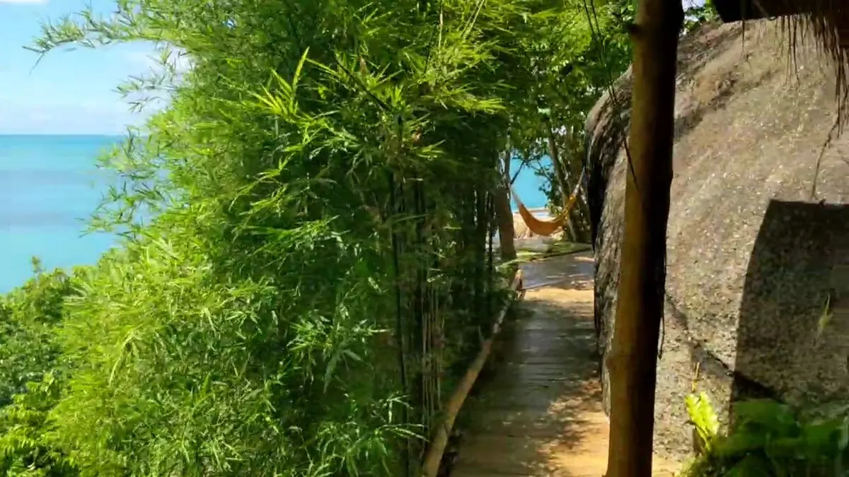 Jungle path through bamboo to the villa